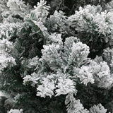 Corashoes Green Flocking Snow Spraying PVC Tree Binding（UK Limited）